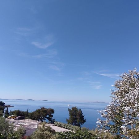 Amazing Villa Galeb In מורטר חדר תמונה